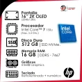 ENVY1 copia 4